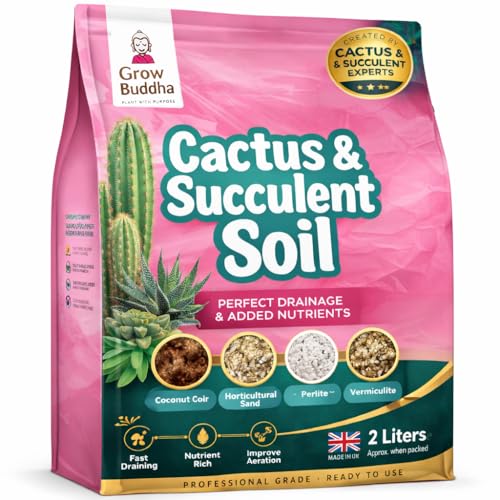Cactus Succulent Soil Grow Buddha - Natural Cactus and Succulent Indoor Potting Compost Mix - Enriched with Special Nutrients Cactus and Succulent Potting Soil Compost Mix for Indoor Plants (2L)