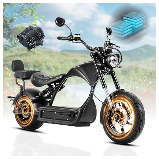 eAhora (2025 Upgraded) M1P Pro 4000W 50MPH Electric Motorcycle for Adults 55 Miles 60V 42AH 2 Persons Ebike Dual Battery 110Miles Electric Bike Dual Hydraulic Brake Street Legal Electric Motorcycle