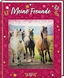 freundebuch pferdefreunde  Freundebuch - Pferdefreunde - Meine Freunde: mit 3-D-Bild