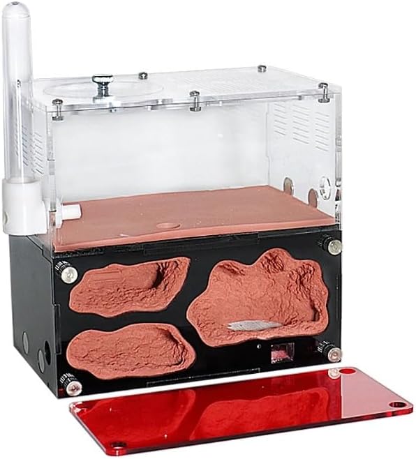 Ant Farm Acrylic Ant Habitat Nest, Transparent Modular Ant Colony Formicarium: Concrete Nest Chamber System - Expandable Ant Habitat with Water Feeder | Ant Colony Observation System (2)