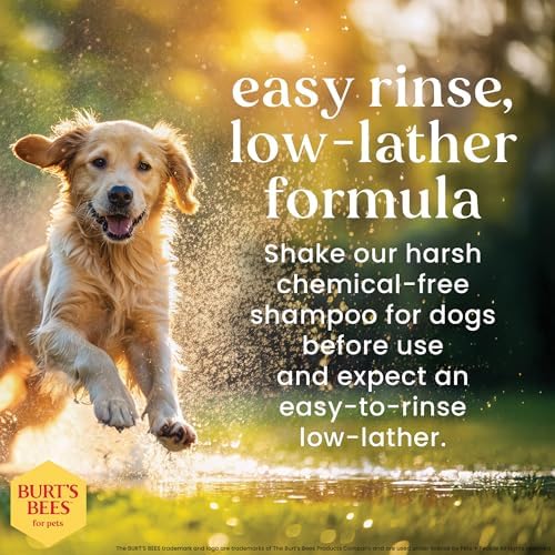 Burts Bees for Pets Oatmeal Dog Shampoo with Honey, Unscented, 16 Fl Oz - 3