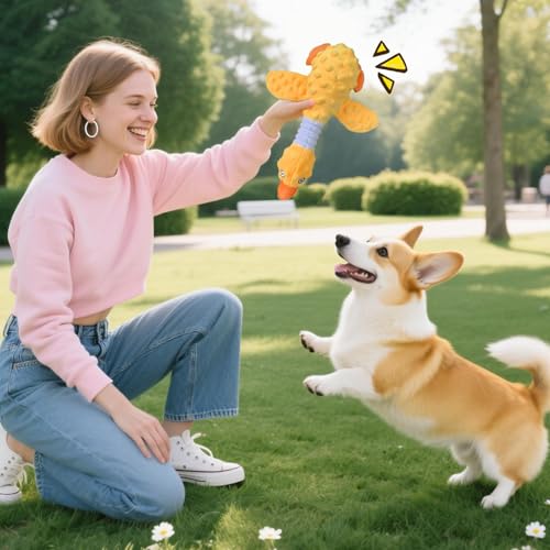 ̊ނ - ؂ȐnA_炩Aq̌`AޒR͂̂邫|ޑދȓȒx̑傫ȕî߂̃C^NeBuȒԌ̐򎕂̂Ȃ߂