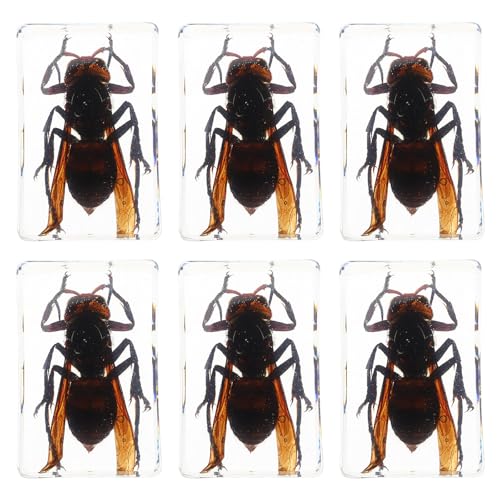 Figuras de insectos de resina transparente de alta transparencia DOITOOL con avispas preservadas