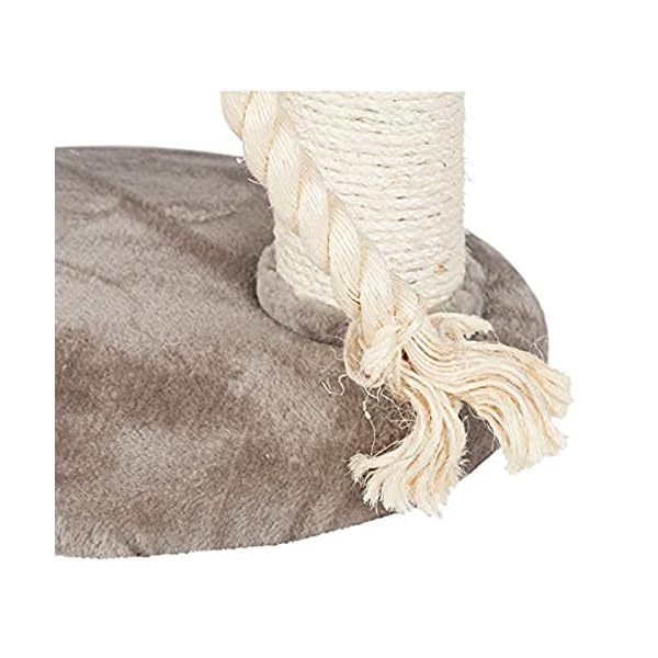 Trixie 47062 Kratzbaum Marcela, 60 cm, grau – Bild 4