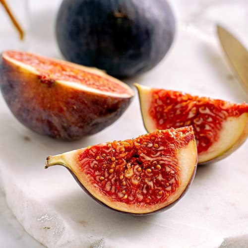 Fig Tree "Chicago Hardy" Set Of 4 Starter Plants #TOP1