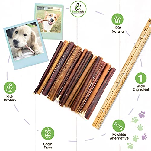Nature Gnaws Small Bully Sticks For Dogs - Premium Natural Beef Bones - Thin Long Lasting Dog Chew Treats For Light Chewers & Puppies - Rawhide Free - 6 Inch (5 Count) #TOP2
