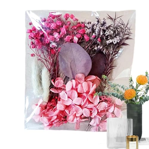 phCt[,hCt[ - t[VbvVRԗtDIYLbg | i`őN₩ȃt[AWg̃nhNtgAW[hAtHgt[ALh