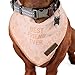 Reddy BFF Dog Bandana, Small/Medium, Blush