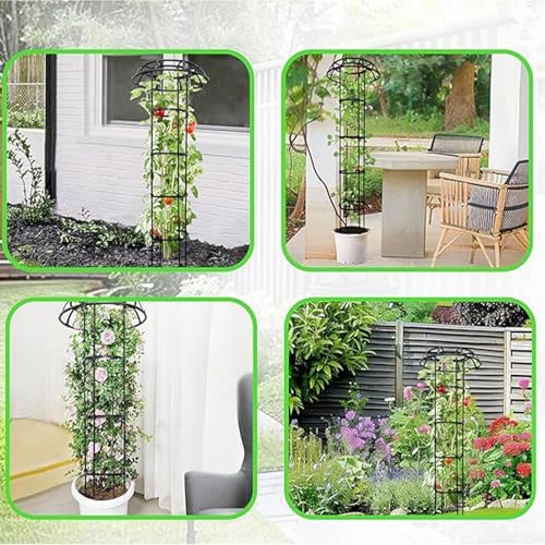 Enrejado de plantas trepadoras con marco inoxidable para guiar pepino y uva 5