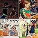 Imagen de 200+ Piezas Tatuajes Halloween Niños