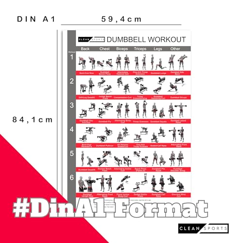 CLEAN SPORTS® Kurzhanteltraining Poster DIN A1 – 36 effektive Übungen & 12 Trainingspläne für Muskelaufbau, Kraft & Definition – Inklusive Videos – Dumbbell Workout Poster für Zuhause & Fitnessstudio