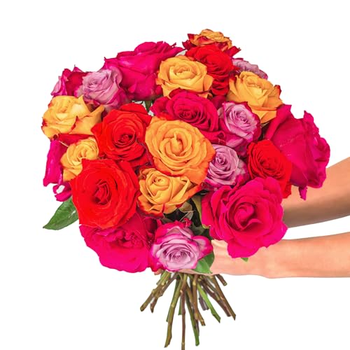 BloomsyBox: Multi Colored Roses - Two Dozen Rainbow Roses, 25 Long Stems, Long Lasting & Hand-Tied, Farm Fresh Flowers Bouquet, Luxury Floral Arrangement, Vase Not Included