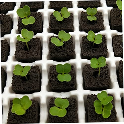 TOYANDONA 1set Nutrient Soil Blocks for Indoor Planting Soilless Cultivation Supply for Hydroponic and Traditional Gardening for and Vegetable Growth 50pcs - Image 3