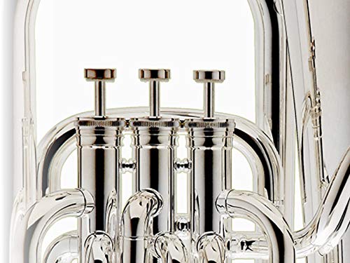 Amazon | BESSON NEW STANDARD BE165 B♭ユーフォニアム 銀メッキ