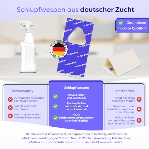 Wolkenfeld Schlupfwespen gegen Lebensmittelmotten – 1 Karte mit 1 Lieferung – Effektive & Chemiefreie Mottenbekämpfung… – Ansicht 4