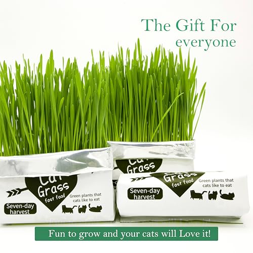 NEKOSEKO Bolsa mágica Cat Grass, 3 sacos, kit de grama interna para gatos (fácil de operar), abra a