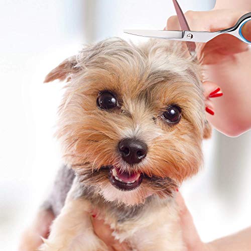 MAYCREATE--Professional-Hair-Cutting-Barber-Scissors-Kit-67-Inch-Hairdressing-Scissors-with-3-Combs-Haircut-Cloak-and-Hair-Clips-Hairdresser-for-Men-and-Women-9Pcs