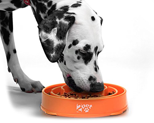 Slow Feed Dog Bowl Slowly Bowly By 2Pet. Fun Interactive Dog Dish For Fast Eaters. Prevent Bloating. Fun To Use Dog Bowl. Cat Feeder Friendly. [Skid Protection Upgraded] #TOP4