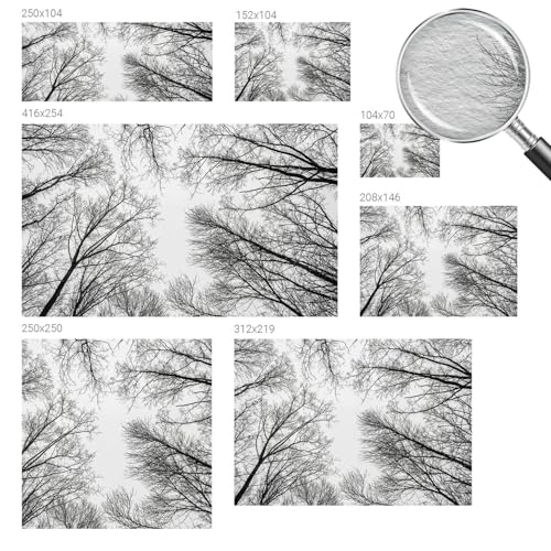 Revêtement mural intissé 416x254 cm branches nues avec colle incluse