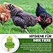 Comedero automático con pies, 2, 4 o 8 kg, verde, gallinas, comedero...