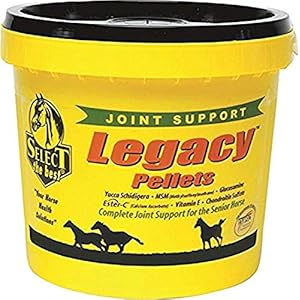 YFCACT RICHDEL 784299542006 Legacy Pellets Joint Support for Senior Horses, 20 lb
