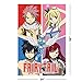 POSTER STOP ONLINE Fairy Tail - Manga/Anime TV Show Poster/Print (Character Grid) (Size 24