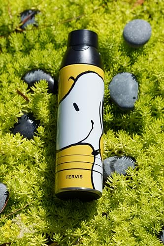Bouteille d'eau Peanuts Snoopy gourde anti-condensation grand format en inox