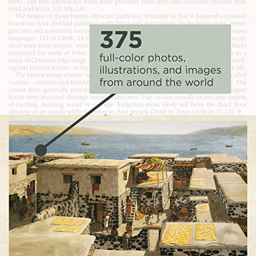 Nrsv, Cultural Backgrounds Study Bible, Leathersoft, Tan/Brown, Comfort Print: Bringing To Life The Ancient World Of Scripture #TOP1