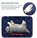 Hero Dog Large Crate Pad Mat - Soft Washable 42 Inch Kennel Pad for Dogs and Cats - Non-Slip Sleeping Mattress