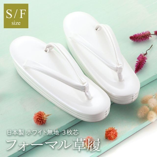 プロフェッサープログラム ダイス 5個 未開封