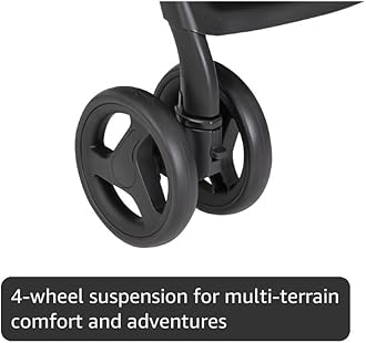 Graco DuoRider Lightweight Double Pushchair, Suitable from Birth to Approx. 3 Years, Steeple Gray Fashion