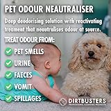 Dirtbusters Pet Odour Eliminator Spray, Neutralise Dog & Cat Urine From Carpet & Upholstery, Enzymatic Deodoriser Treatment, Wild Fig and Cassis 500ml - Image 2