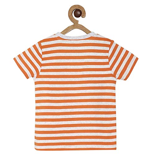 Image of Mini Klub Boys Orange Stripes T-Shirt Pack of 1