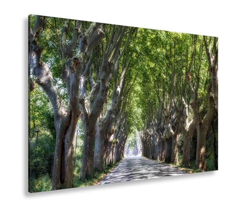 Impression sur toile Porte verte pour illuminer un salon sombre avec un grand tableau XXL