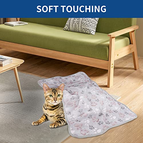 BVAGSS 6 Stück Kleine Flauschige Hundedecke, Weich mit Fleece Flanell Haustier Decken für Kleine Mittlere Hunde Katzen Warmer und bequemer Schlaf XH075 (60 x 40 cm, Mehrfarbig)