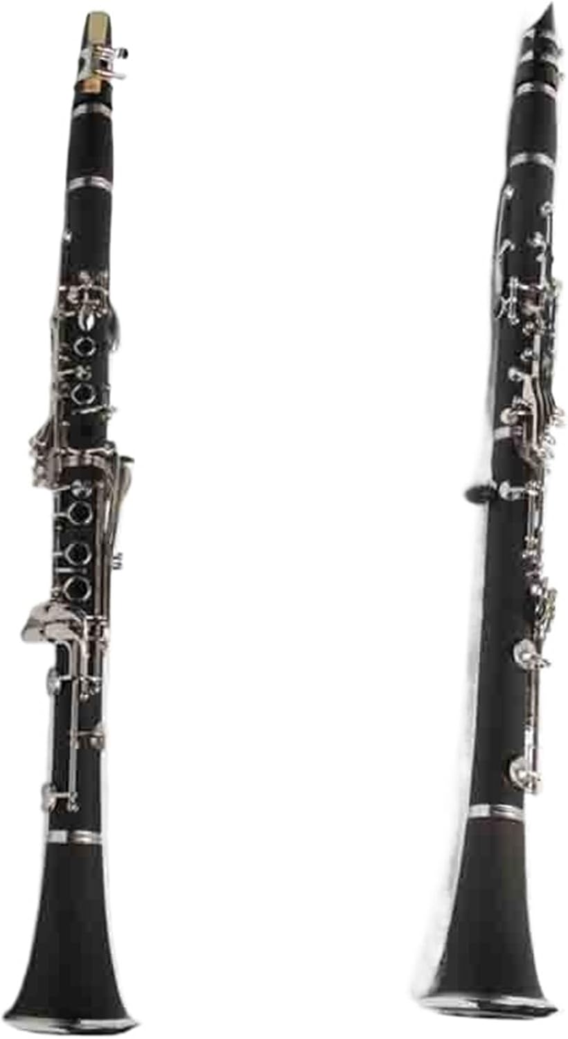 Clarinet Instrument 17 Keys B Flat Adult Clarinet Instrument