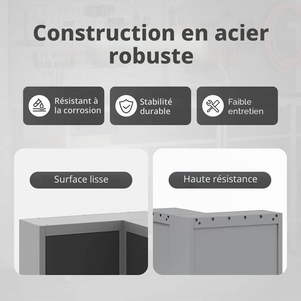 vidaXL Armoire à Outils avec étagère Noir et Gris 55 x 55 x 55 cm | Pas mal de place pour ranger tous tes trucs, S'adapte super bien dans n'importe quel coin, Fait en acier inoxydable solide