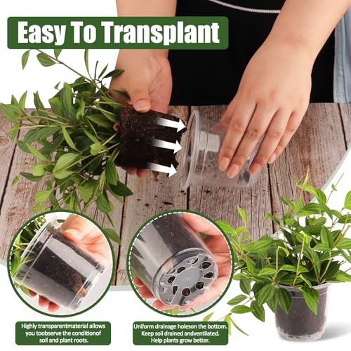 CXIIPOL 45 Pack Clear Nursery Pots with Drainage, 4/5/6 Inch Clear Nursery Pots for Plants, Plastic Pot for Outdoor Indoor, Succulents Landscape Plants - Thumbnail 4