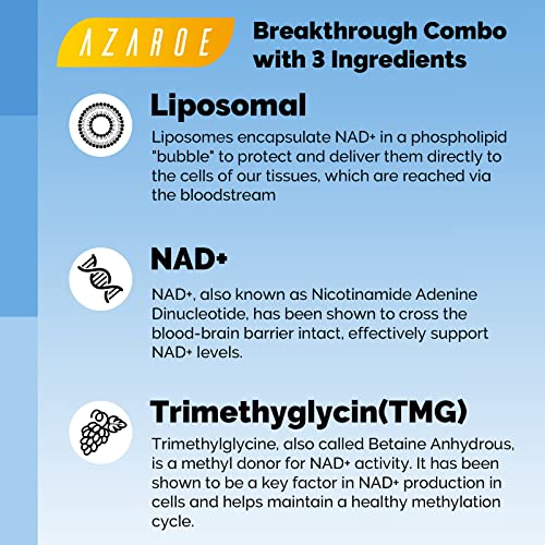 Liposomale NAD+ Softgels 500 mg met TMG 250 mg, ondersteunt cellulaire energie, 60 softgels (60 Count (Pack of 1)) - Image 5