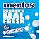 Mentos Kaubonbons Mint, Dragees mit Pfefferminz-Geschmack für frischen Atem, Multipack, Bonbon Vorrats-Packung, Verkaufsdisplay (4 Rollen), vegan