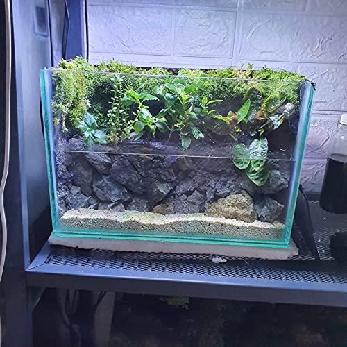 Image of Parko 15 Litre Fish Tank Small Aquarium(Aquarium Tank Only) (Colour May Vary)(9x9x12 Inches) (Rust Resistant)