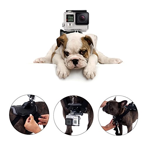 Pettorina per cane, imbracatura toracica con