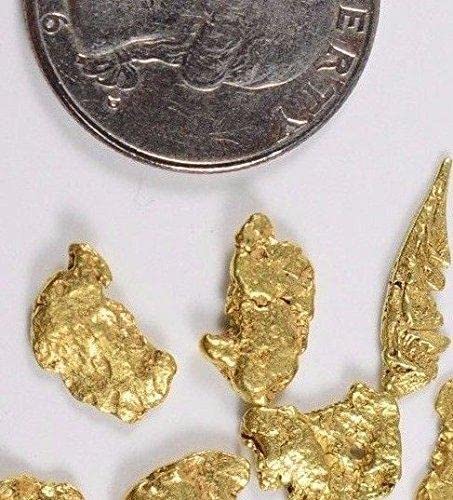 Alaskan-Yukon BC Natural Gold Nugget #4 Mesh 2 Grams