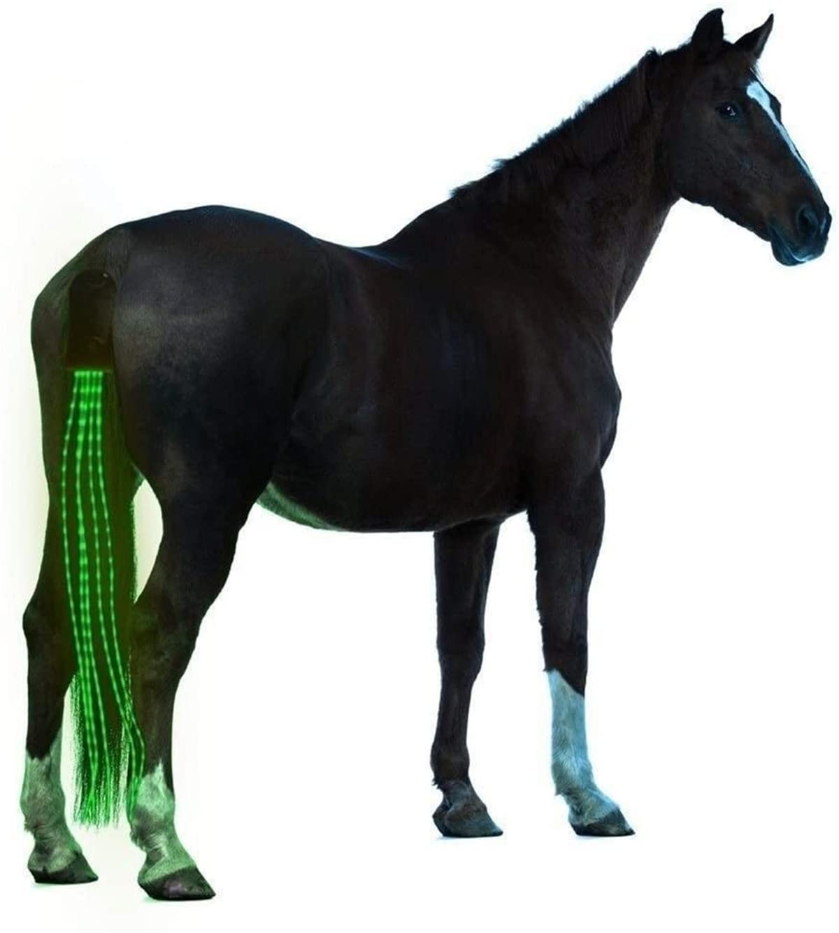 Equipos de Hípica Cola Trappings Ecuestre LED Parpadeante Barra Ligera del arnés de Deportes al Aire Libre de Carga USB Montar Las Decoraciones (Color : Green)