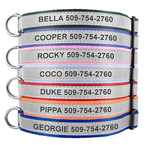 GoTags Reflective Personalized Dog Collar, Custom Engraved with Pet Name and Phone Number, Adjustable Dog Collar with Quick Release Buckle, 3 Sizes for Puppy and Dogs, Small, Medium and Large