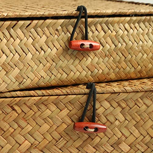 Feilanduo Shelf Baskets With Lids Wicker Storage Baskets For Shelves Organizing Natural Seagrass Rattan Woven Organizer Boxes Boho Home Decor Set Of 2 (Natural) #TOP3