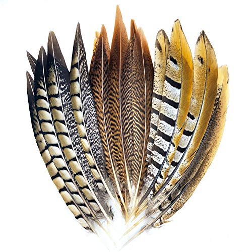 18 Pcs Natural Pheasant Feathers for Crafts DIY Decoration Collection Tails Feathers in 3 Styles 25-30cm … (Style 1)