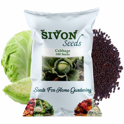 Image of SIVON Cabbage (Patta Gobhi) (100 Seeds) Vegetable Seeds for Home Garden, Organic & Hybrid, Perfect for Home Gardening, Planting For Pots and Patio
