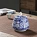 RabyLeo Decorative Jars, Ancient Chinese Blue and White Porcelain Ceramic Storage Box, with Sealed Lids, Home Kitchen Dining Decoration (Helmet jars)