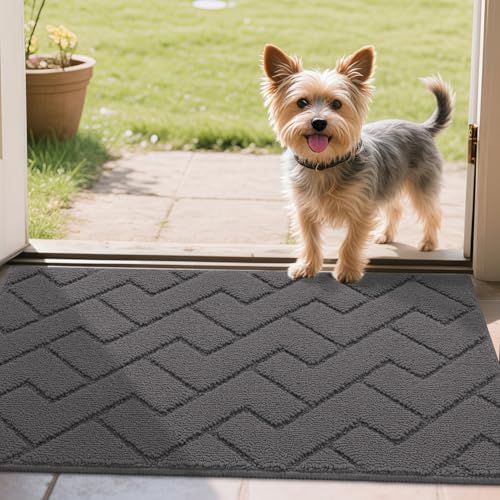 Biscpro Door Mats Indoor, Dirt Trapper Mat Absorbent Non-Slip Low Profile Doormat for Entrance, Inside, Kitchen, Front Door Mat Washable for Pets and Dogs— 50x80 cm, Grey